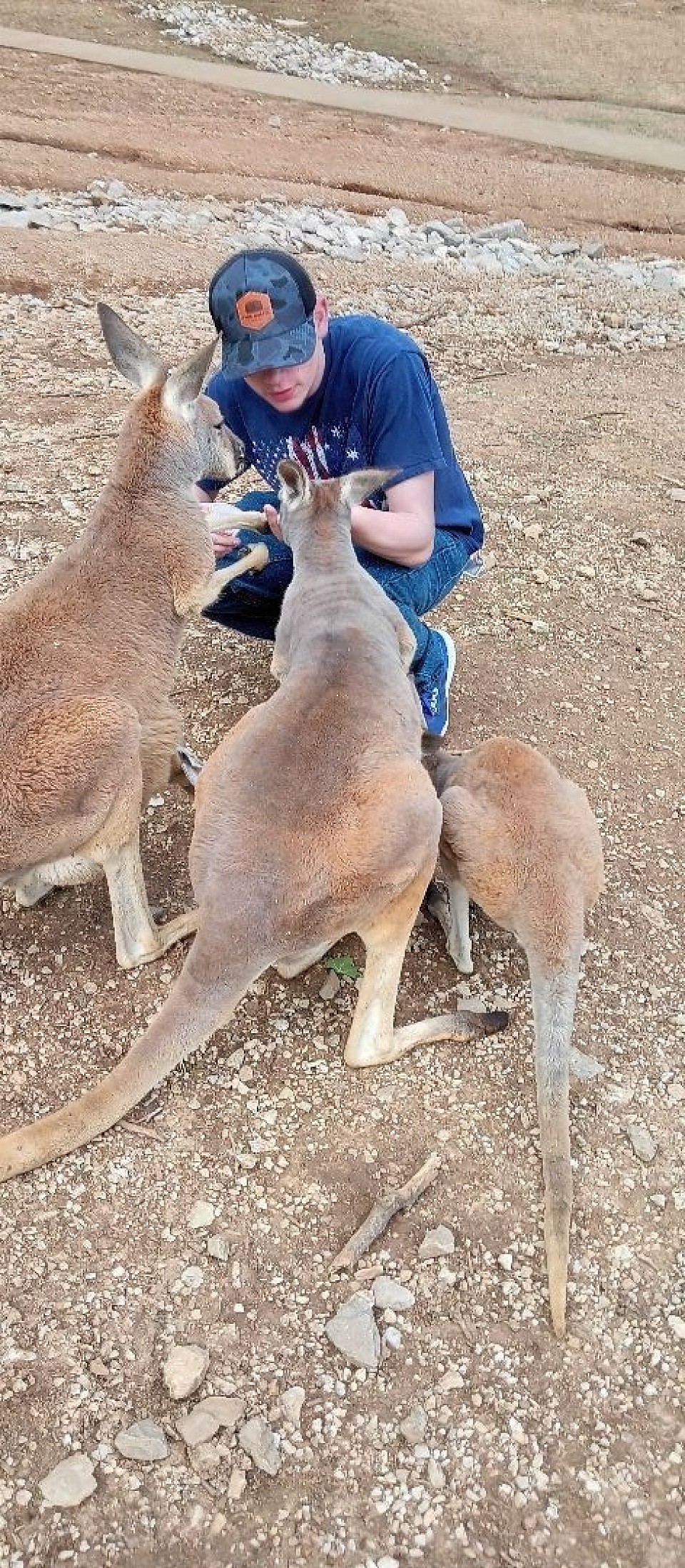 Australia flag